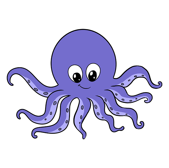 Octopus